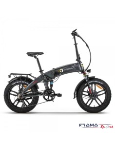 Bici a pedalata assistita...