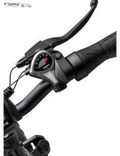 Bici elettrica pieghevole... 2