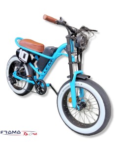 Bici a pedalata assistita...