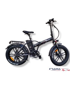 Bici a pedalata assistita...