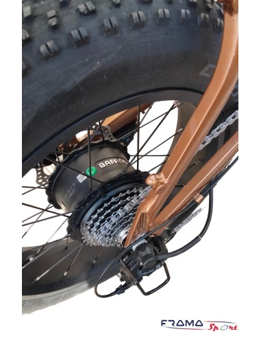 Bici a pedalata assistita  Fate bike...