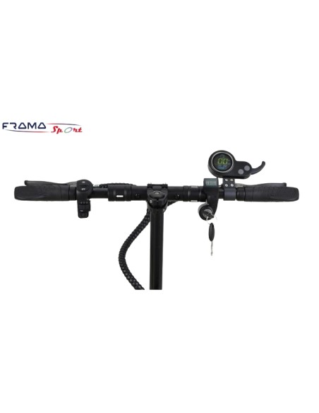 Monopattino elettrico Majestic Lewis Pro 500w