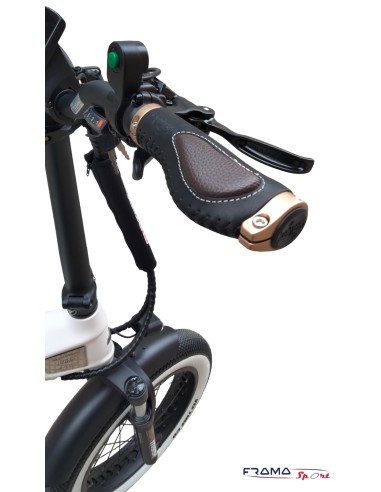 Bici a pedalata assistita pieghevole...