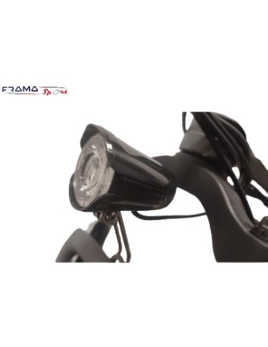 Bici a pedalata assistita pieghevole...