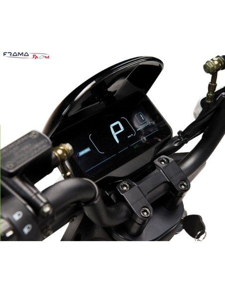 E-Scooter elettrico Wayel modello W1 50cc colore titanio