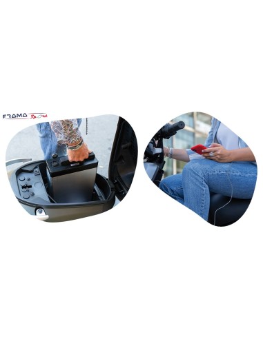 E-Scooter elettrico Wayel modello W1...