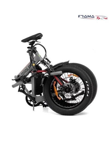 Bici a pedalata assistita Argento...