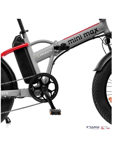Bici a pedalata assistita Argento...