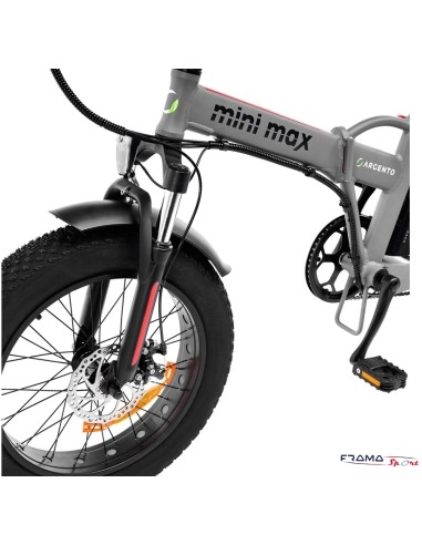 Bici a pedalata assistita Argento...