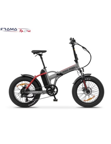 Bici a pedalata assistita Argento...