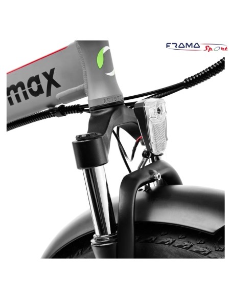 Bici a pedalata assistita Argento MiniMax 250W 10.4Ah  36V grigio rossa