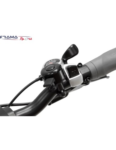 Bici a pedalata assistita Argento...