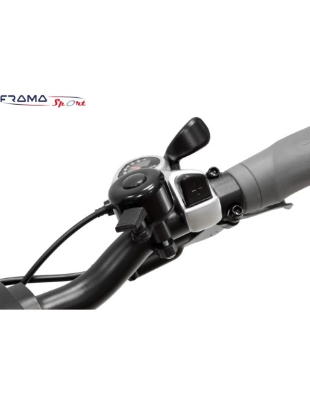 Bici a pedalata assistita Argento BiMax XL 500w 48V 12,8Ah nero dorata