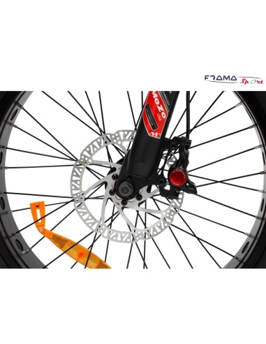 Bici a pedalata assistita Argento...