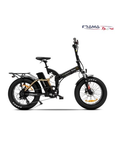 Bici a pedalata assistita Argento...