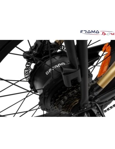 Bici a pedalata assistita Argento...