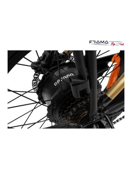 Bici a pedalata assistita Argento BiMax XL 500w 48V 12,8Ah nero dorata