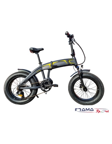 Bici a pedalata assistita Wayel Next+ 250W 48V 14 Ah