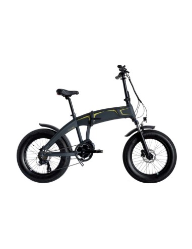 Bici a pedalata assistita Wayel Next+...