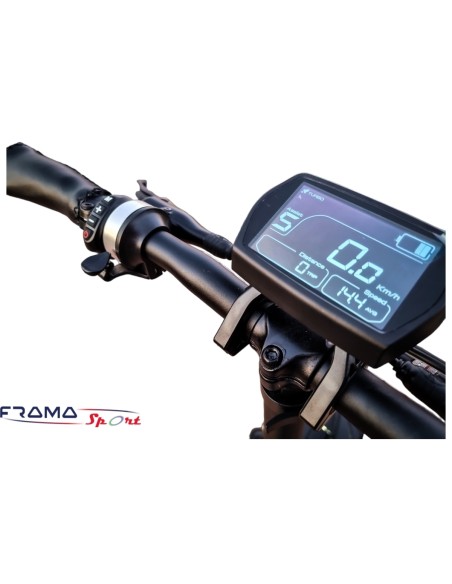 Bici a pedalata assistita Wayel Next+ 250W 48V 14 Ah