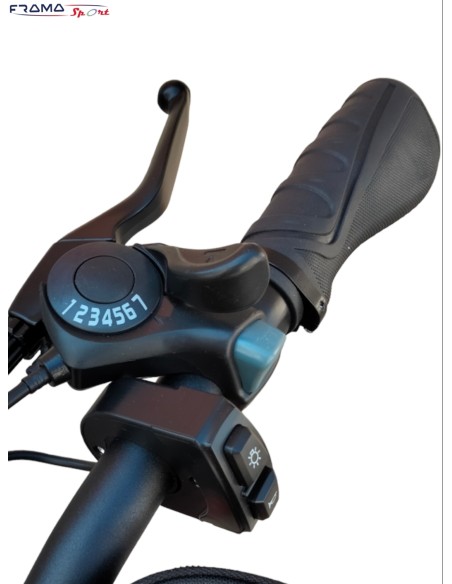 Bici a pedalata assistita pieghevole Viper 250/350W 36V12Ah rossa