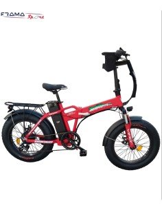 Bici a pedalata assistita...