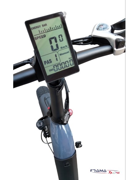 Bici a pedalata assistita pieghevole Inglobal modello FT PRO-2 250/350w