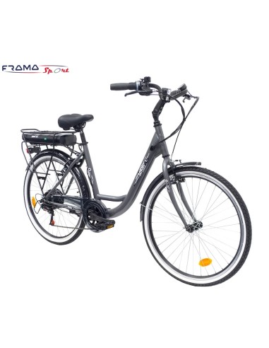 Bici a pedalata assistita City e-bike...
