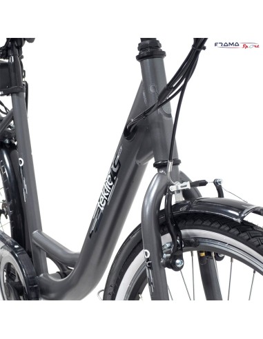 Bici a pedalata assistita City e-bike...