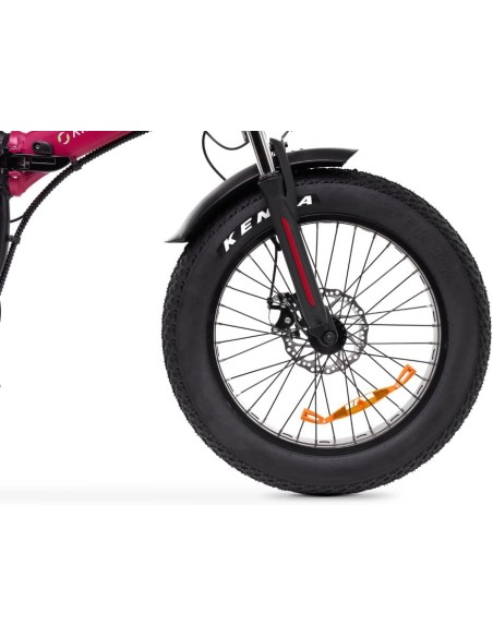 Bici a pedalata assistita Fat-bike Argento Bi-max 250W nero, rosa