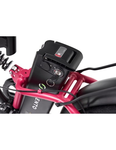 Bici a pedalata assistita Fat-bike...