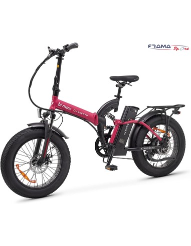Bici a pedalata assistita Fat-bike...
