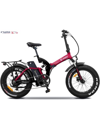 Bici a pedalata assistita Fat-bike...