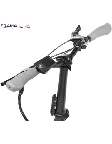 Bici a pedalata assistita Fat-bike...