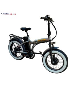 Bici a pedalata assistita...