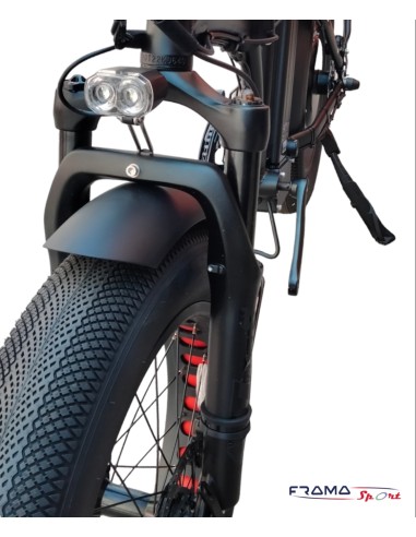 Bici a pedalata assistita pieghevole...