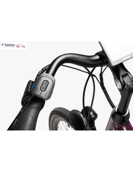 City E-bike Focarini Agile 500Wh prugna