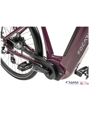 City E-bike Focarini Agile 500Wh prugna