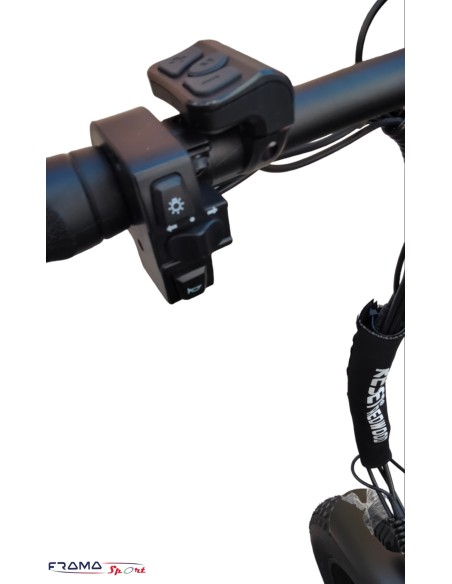 Bici a pedalata assistita Reset Redwood 250W nero opaco