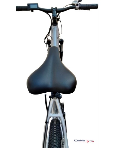 Mtb Innocenti a pedalata assistita...