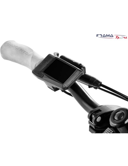 Bici a pedalata assistita Fat-Bike pieghevole  Argento modello Mini-Max GT 250W