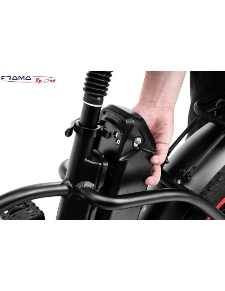 Bici a pedalata assistita Fat-Bike pieghevole  Argento modello Mini-Max GT 250W