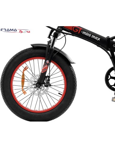 Bici a pedalata assistita Fat-Bike...