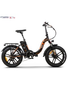 Bici a pedalata assistita...