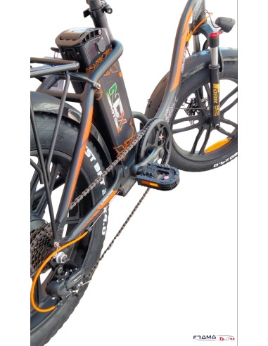 Bici a pedalata assistita Fatbike Ncx...