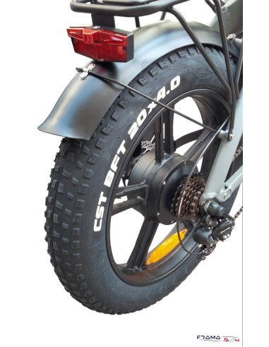 Bici a pedalata assistita Fat-Bike...
