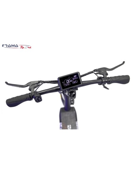 Monopattino elettrico pieghevole Zwhell modello Z-Cougar T8  800W 48V 17.5Ah