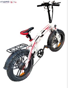 Bici a a pedalata assistita...