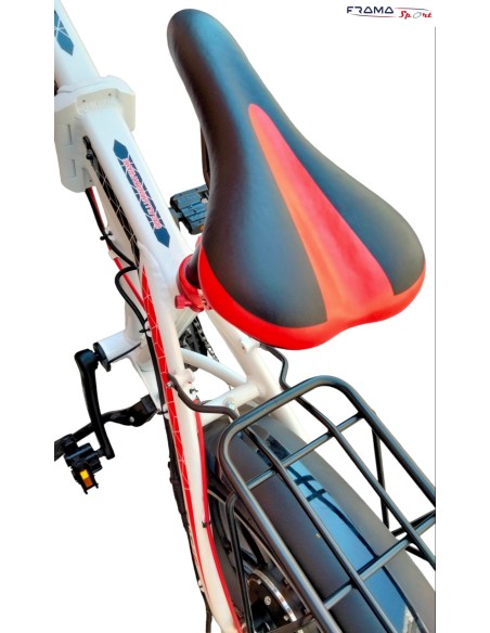 Bici a a pedalata assistita Ste-Bike modello Tnt 15 250W 36V 10Ah