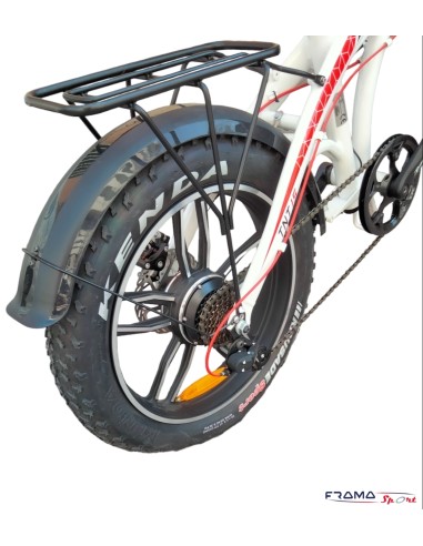 Bici a a pedalata assistita Ste-Bike...